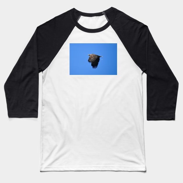 Eagle Baseball T-Shirt by Wolf Art / Swiss Artwork Photography